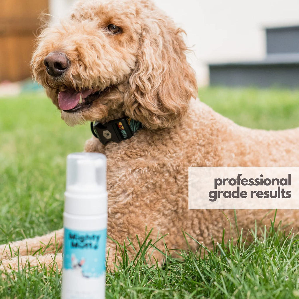 Hypoallergenic Waterless Dog Shampoo 8 fl oz T96861