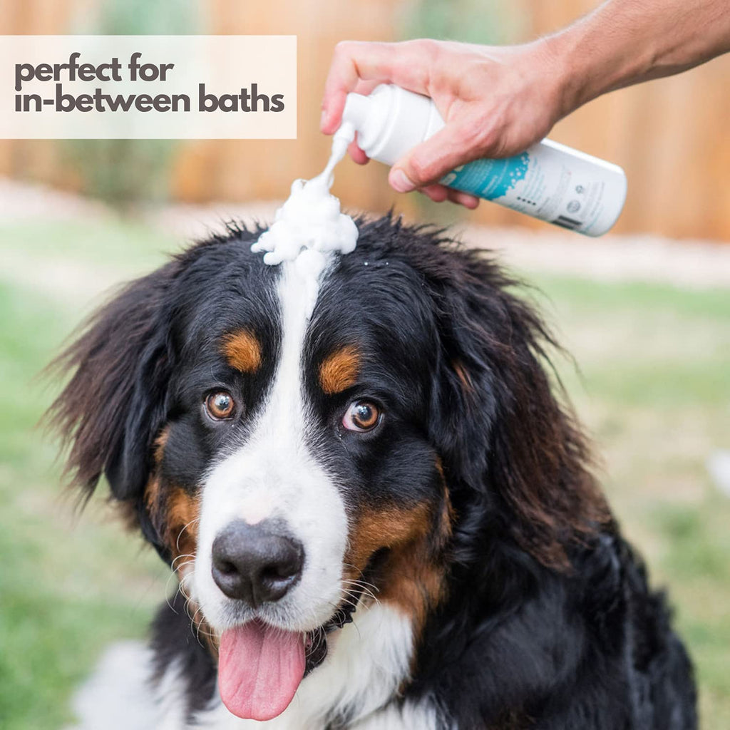 Hypoallergenic Waterless Dog Shampoo 8 fl oz T96861