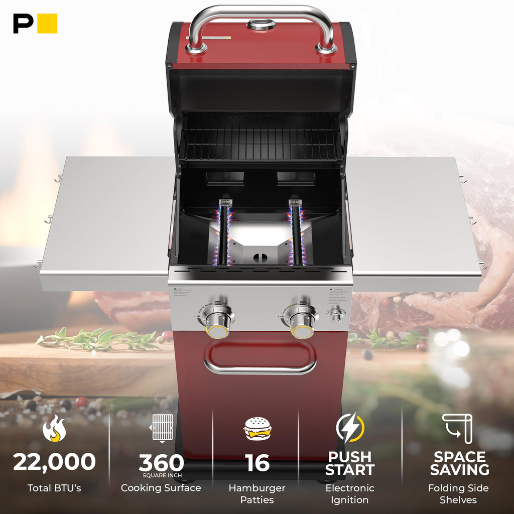 2-Burner Propane Gas Grill with Foldable Side Tables T675