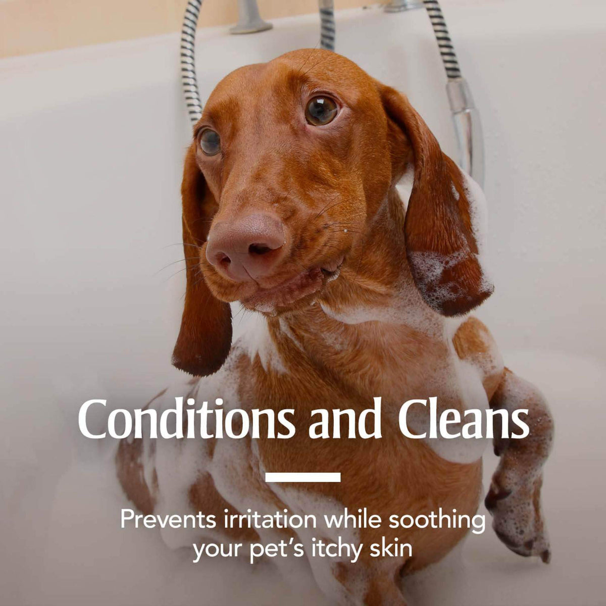 Oatmeal Flea & Tick Shampoo Dogs 18oz C6889