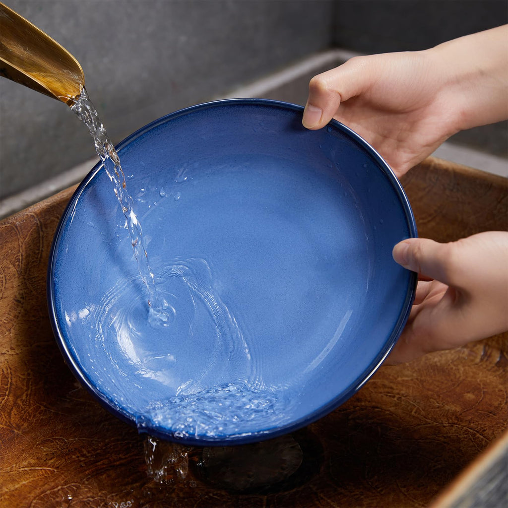 8.75'' Ceramic Pasta Bowls Set of 4 T800