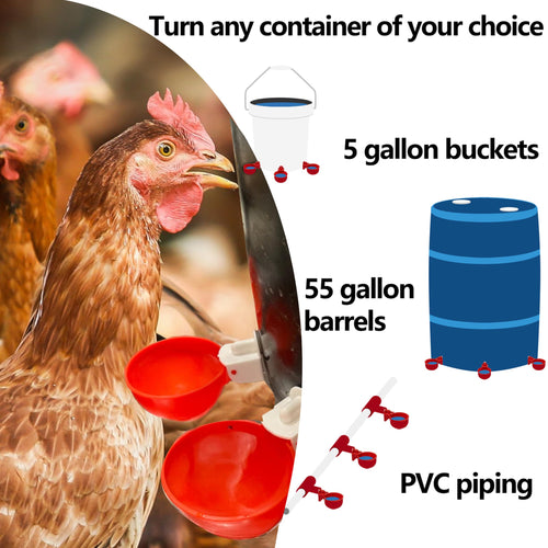 16 Pack Poultry Waterer Cups with Mounting Hole Opener X416