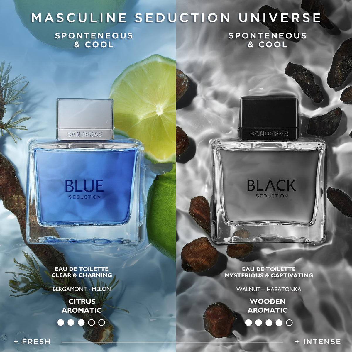 Black Eau-de-Toilette Spray 3.4-Ounce V8973