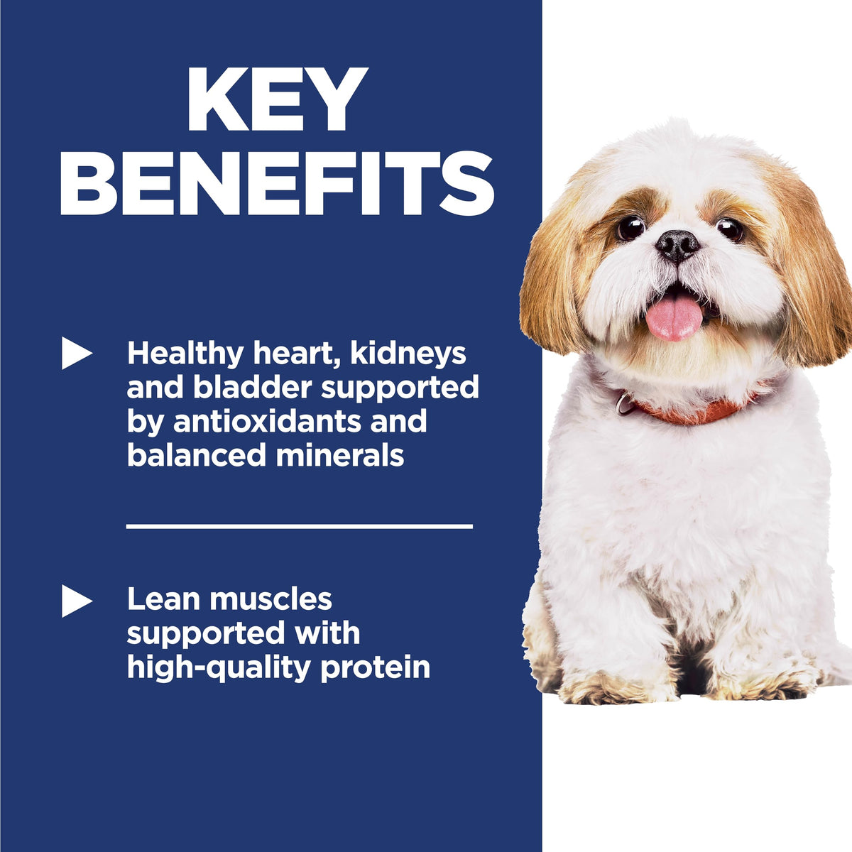 Dry Dog Food S930