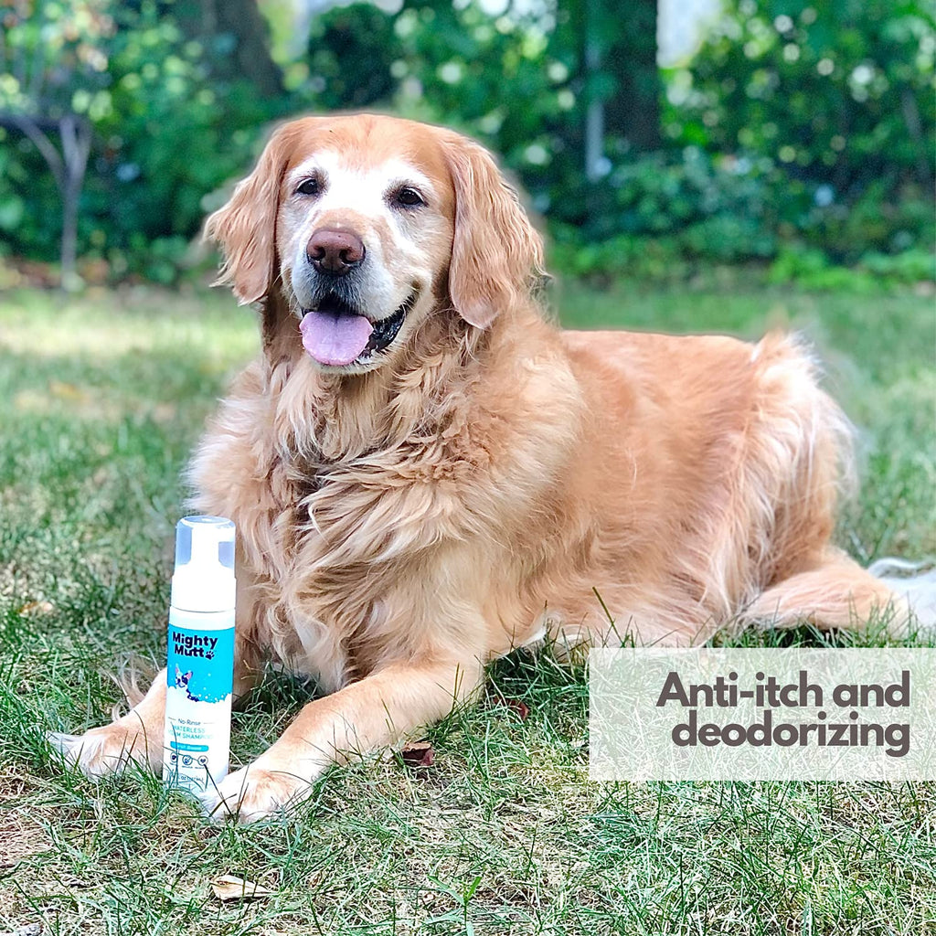 Hypoallergenic Waterless Dog Shampoo 8 fl oz T96861