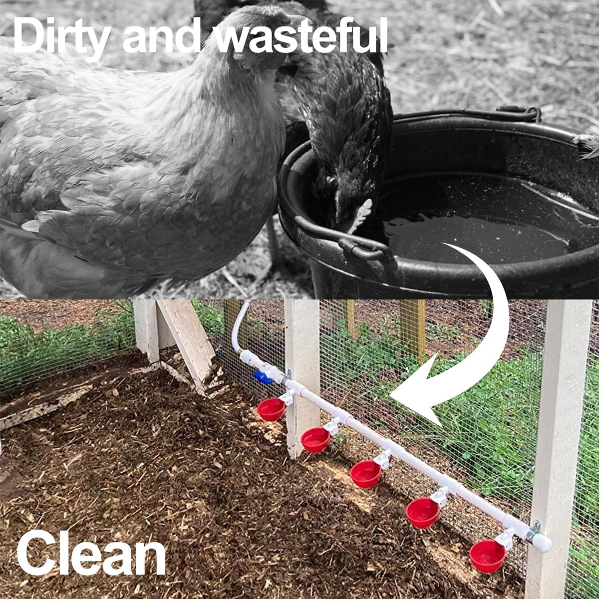 16 Pack Poultry Waterer Cups with Mounting Hole Opener X416