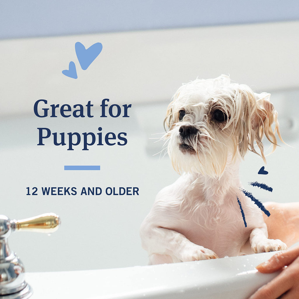 Oatmeal Flea & Tick Shampoo Dogs 18oz C6889