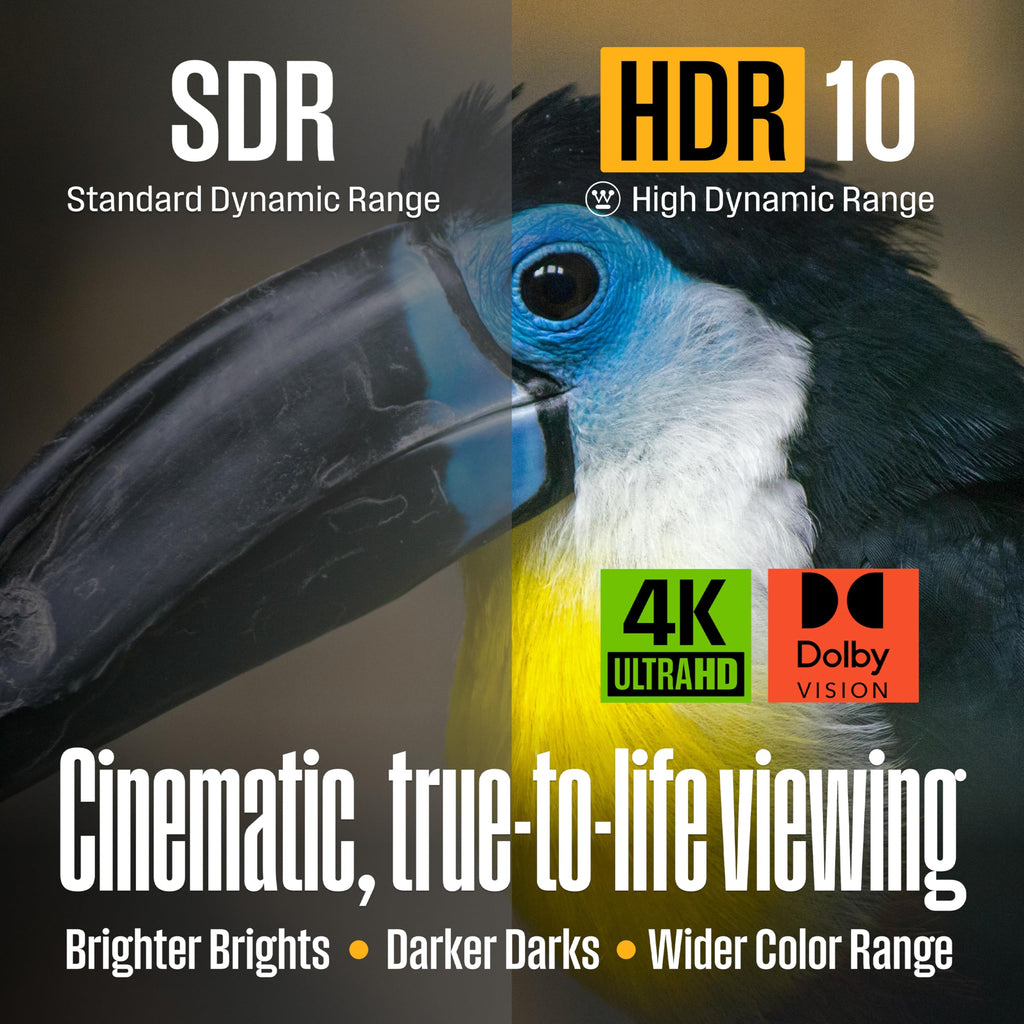 55 Inch 4K UHD Smart Outdoor TV E4232