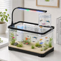 3 Gallon Acrylic Aquarium Starter Kit T5350