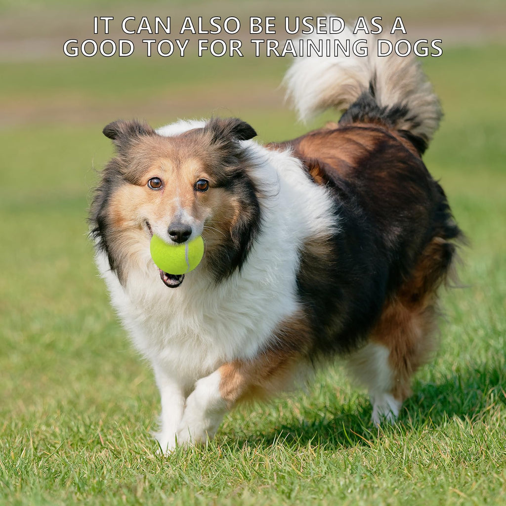 20 Pack Tennis Balls with Mesh Bag P811