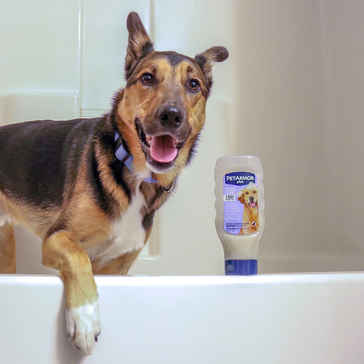 Oatmeal Flea & Tick Shampoo Dogs 18oz C6889