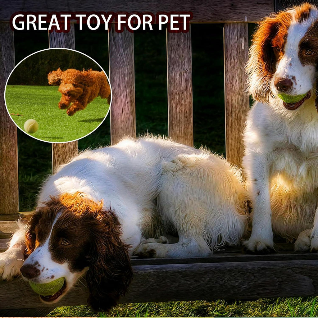 20 Pack Tennis Balls with Mesh Bag P811