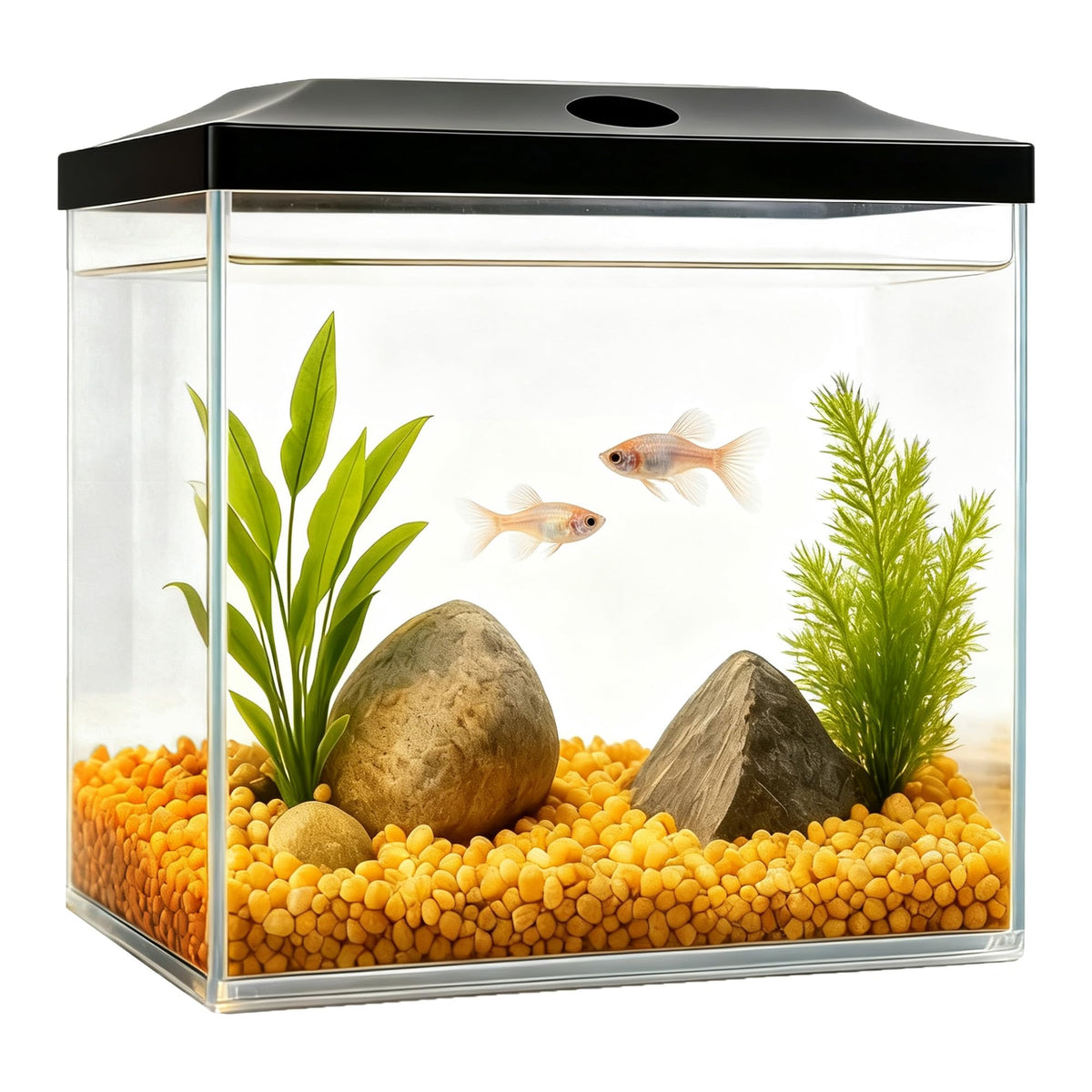 0.8-Gallon Small Plastic Fish Tank with LED Lighting V716134