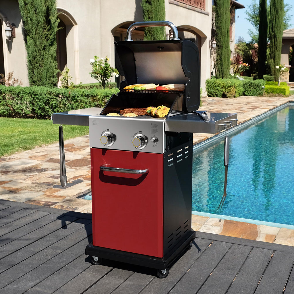 2-Burner Propane Gas Grill with Foldable Side Tables T675