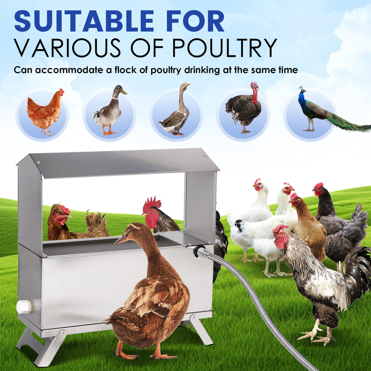 Automatic Chicken Waterer with Float Valve Kit K763
